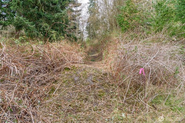 0 NHN Polnell Road, Oak Harbor, WA 98277