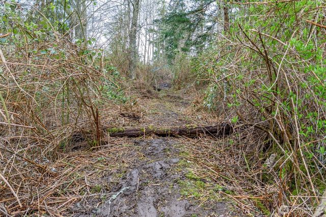0 NHN Polnell Road, Oak Harbor, WA 98277