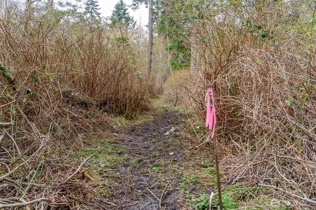 0 NHN Polnell Road, Oak Harbor, WA 98277