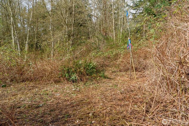 0 NHN Polnell Road, Oak Harbor, WA 98277
