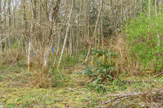 0 NHN Polnell Road, Oak Harbor, WA 98277