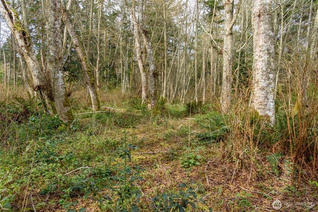 0 NHN Polnell Road, Oak Harbor, WA 98277