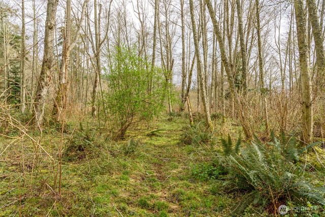 0 NHN Polnell Road, Oak Harbor, WA 98277