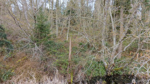 0 NHN Polnell Road, Oak Harbor, WA 98277