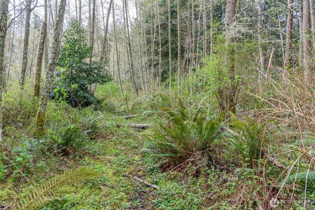 0 NHN Polnell Road, Oak Harbor, WA 98277