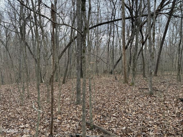 0 Crest Rd, Monterey, TN 38574