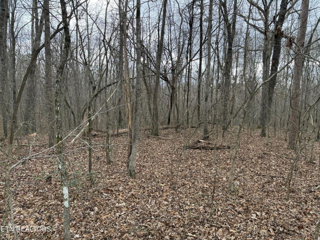 0 Crest Rd, Monterey, TN 38574