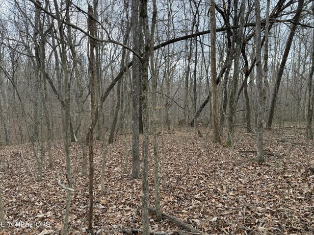 0 Crest Rd, Monterey, TN 38574