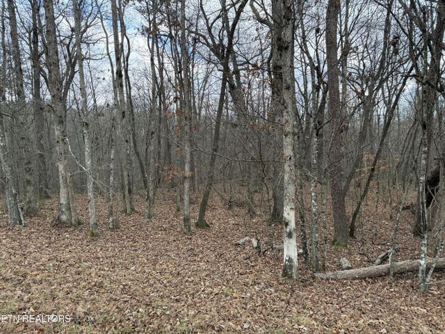 0 Crest Rd, Monterey, TN 38574