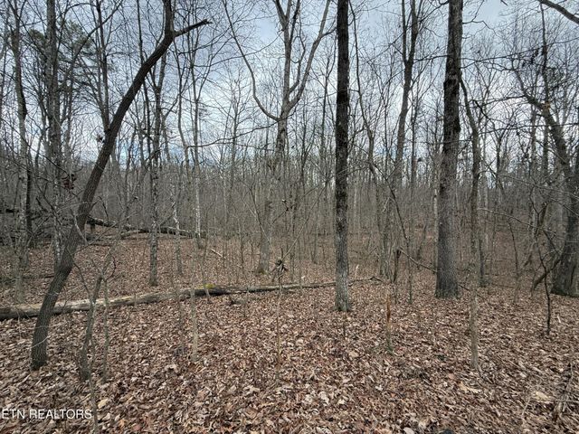 0 Crest Rd, Monterey, TN 38574