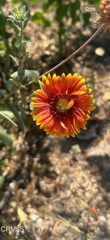 102 W Poppyfields Drive, Altadena, CA 91001