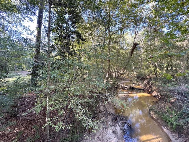 2080 County Road 1100, Woodville, TX 75979