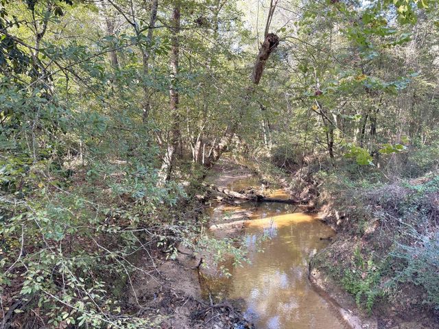 2080 County Road 1100, Woodville, TX 75979