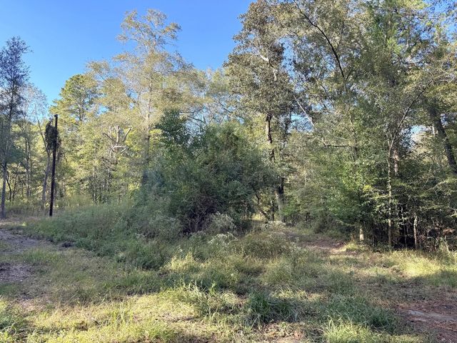 2080 County Road 1100, Woodville, TX 75979