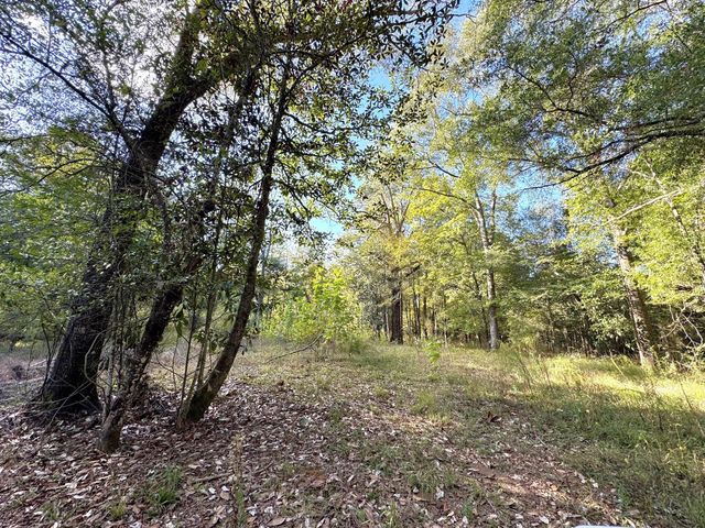 2080 County Road 1100, Woodville, TX 75979