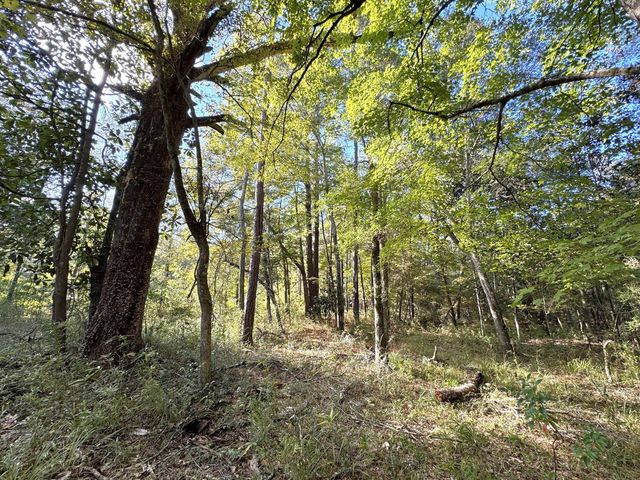 2080 County Road 1100, Woodville, TX 75979