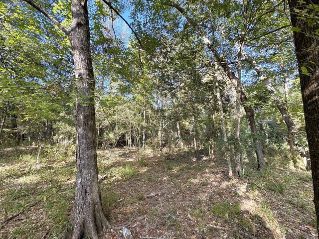 2080 County Road 1100, Woodville, TX 75979