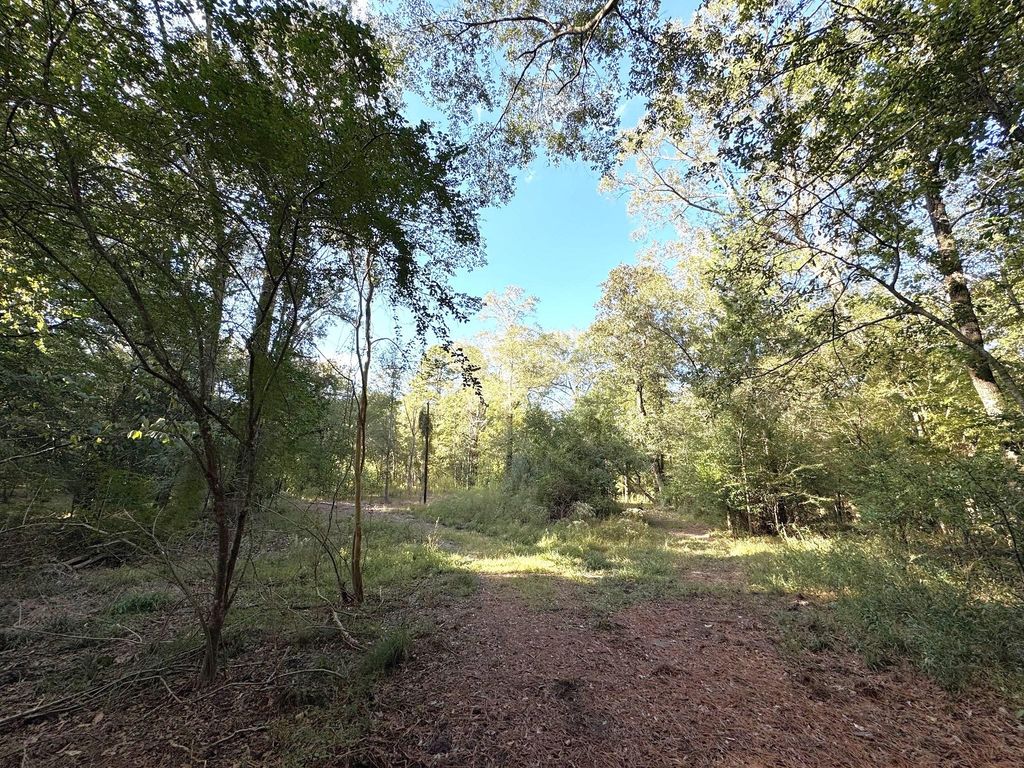 2080 County Road 1100, Woodville, TX 75979