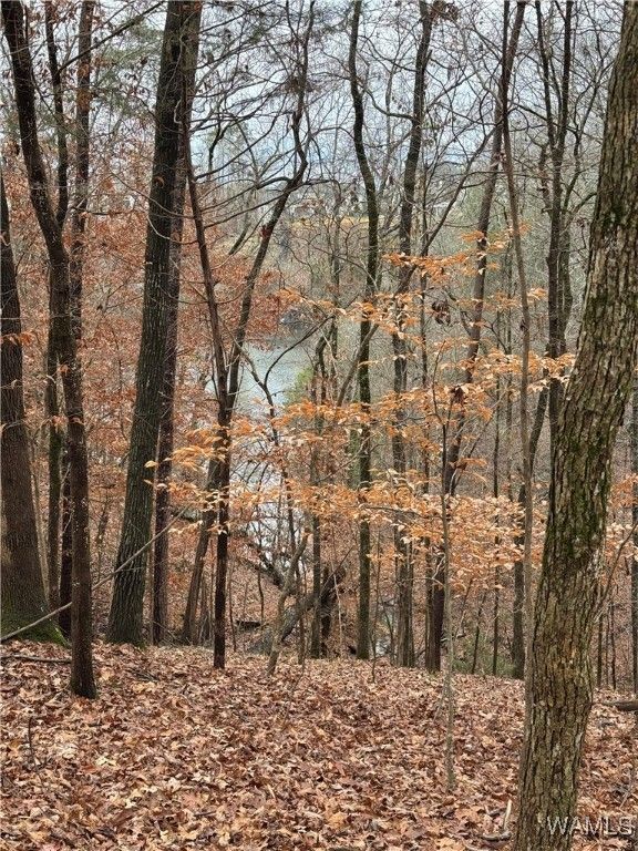 6638 Waterfront, Tuscaloosa, AL 35406