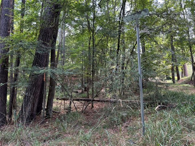 415 Rio Vista Drive, Livingston, TX 77352