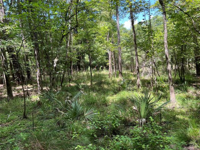 415 Rio Vista Drive, Livingston, TX 77352
