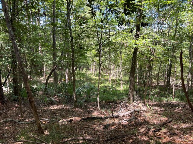 415 Rio Vista Drive, Livingston, TX 77352