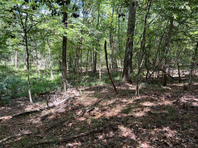 415 Rio Vista Drive, Livingston, TX 77352