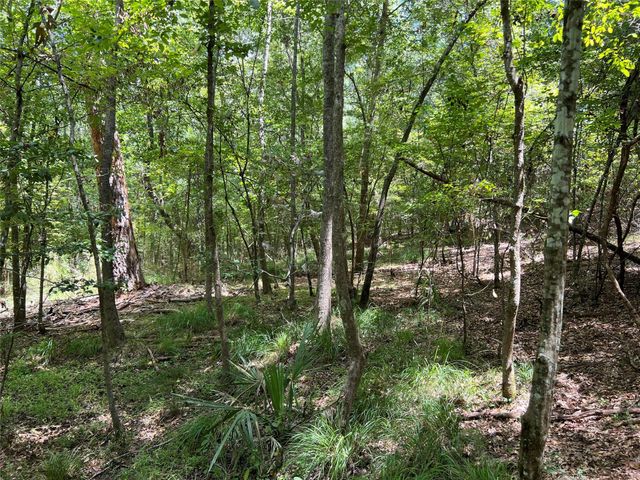 415 Rio Vista Drive, Livingston, TX 77352