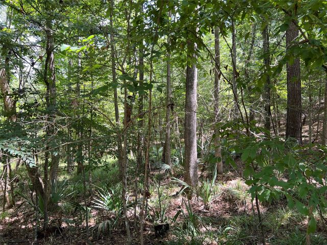 415 Rio Vista Drive, Livingston, TX 77352