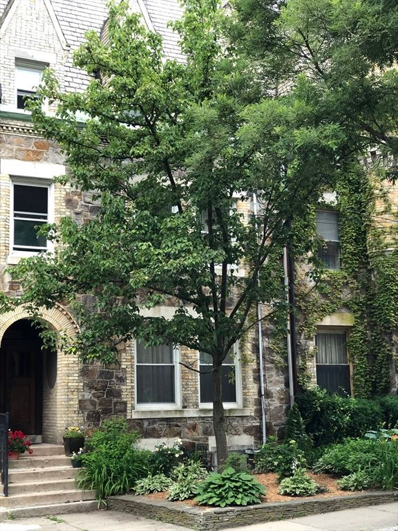 318 Tappan Street 3, Brookline, MA 02445