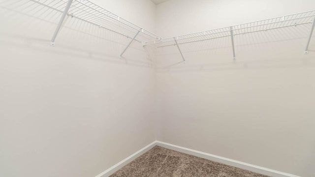 605 Strawberry Field Way, Galivants Ferry, SC 29544