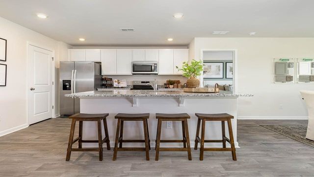 605 Strawberry Field Way, Galivants Ferry, SC 29544