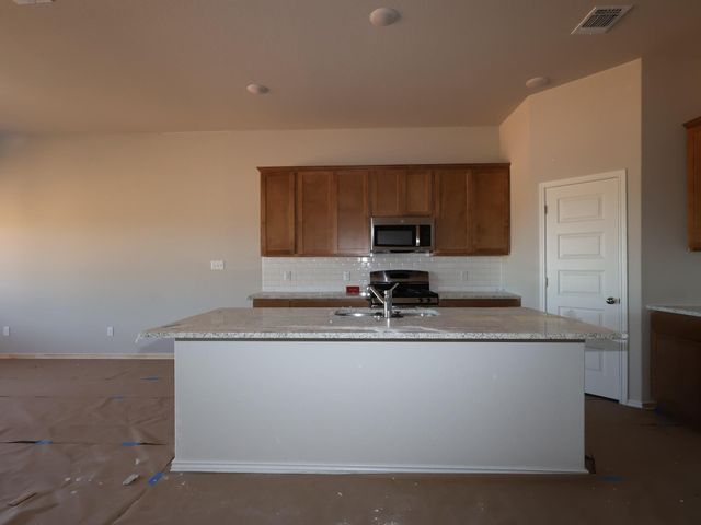 20009 Cornyn LN, Manor, TX 78653
