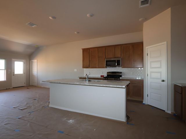 20009 Cornyn LN, Manor, TX 78653