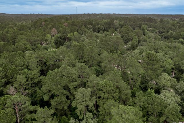 Lot 56 Post Oak Circle, Trinity, TX 75862