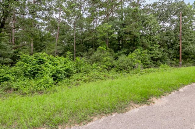 Lot 56 Post Oak Circle, Trinity, TX 75862