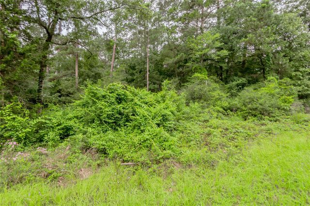 Lot 56 Post Oak Circle, Trinity, TX 75862