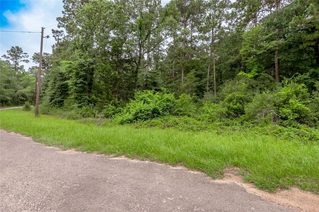 Lot 56 Post Oak Circle, Trinity, TX 75862