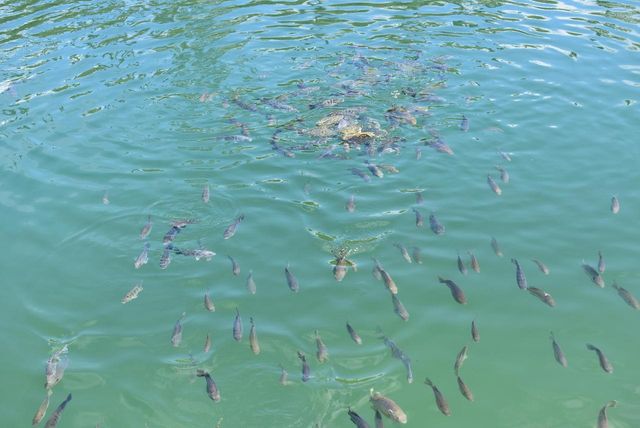 W7202 KODIAK DRIVE, Pembine, WI 54156