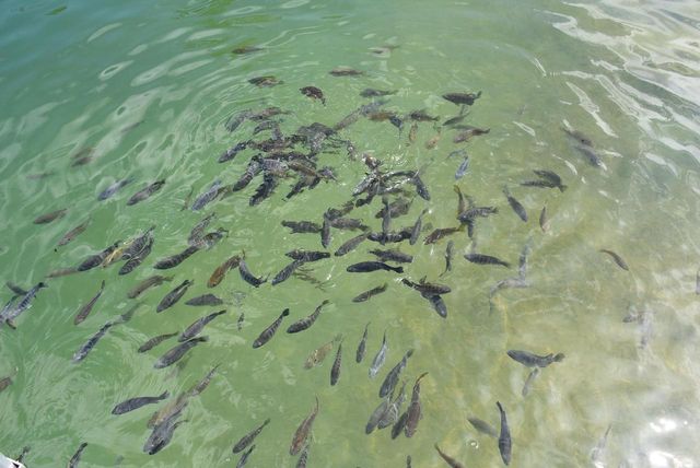 W7202 KODIAK DRIVE, Pembine, WI 54156