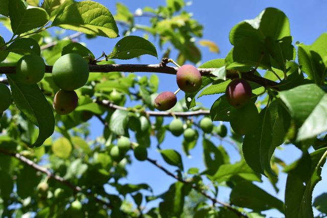 W7202 KODIAK DRIVE, Pembine, WI 54156