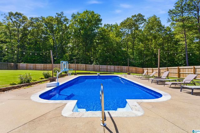 132 OAKLYN HILLS DRIVE, Chelsea, AL 35043