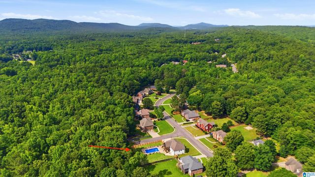 132 OAKLYN HILLS DRIVE, Chelsea, AL 35043