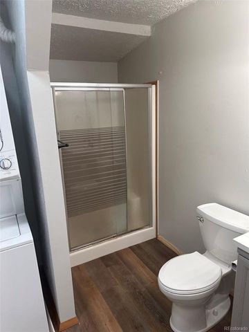 609 S Park Street, Woodland Park, CO 80863