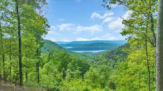 1755 Birds Eye Way 1072, Guild, TN 37340