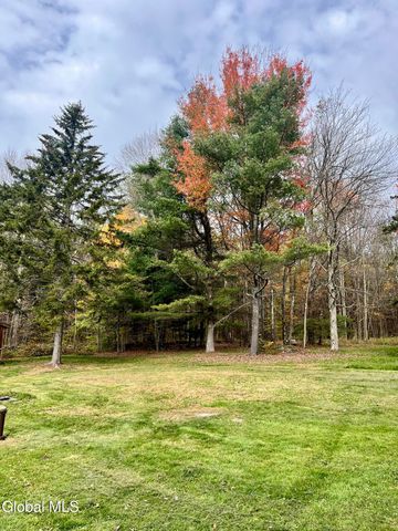 1064 Titus Lake Road, Harpersfield, NY 13786