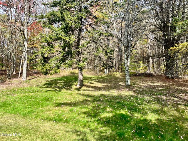 1064 Titus Lake Road, Harpersfield, NY 13786