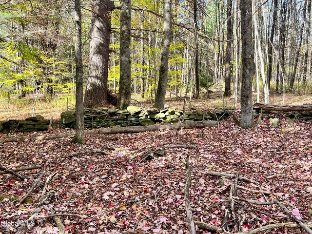 1064 Titus Lake Road, Harpersfield, NY 13786