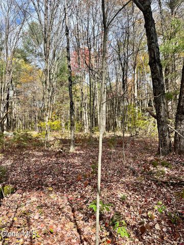 1064 Titus Lake Road, Harpersfield, NY 13786