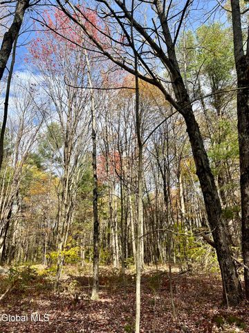 1064 Titus Lake Road, Harpersfield, NY 13786